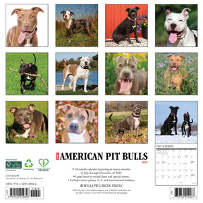 Willow Creek Press - 2026 American Pit Bull Terrier Calendar