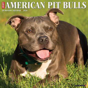 Willow Creek Press - 2026 American Pit Bull Terrier Calendar