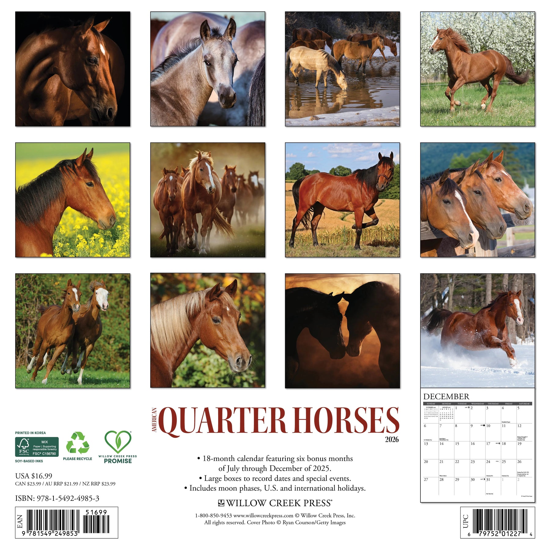 Willow Creek Press - 2026 American Quarter Horses Calendar
