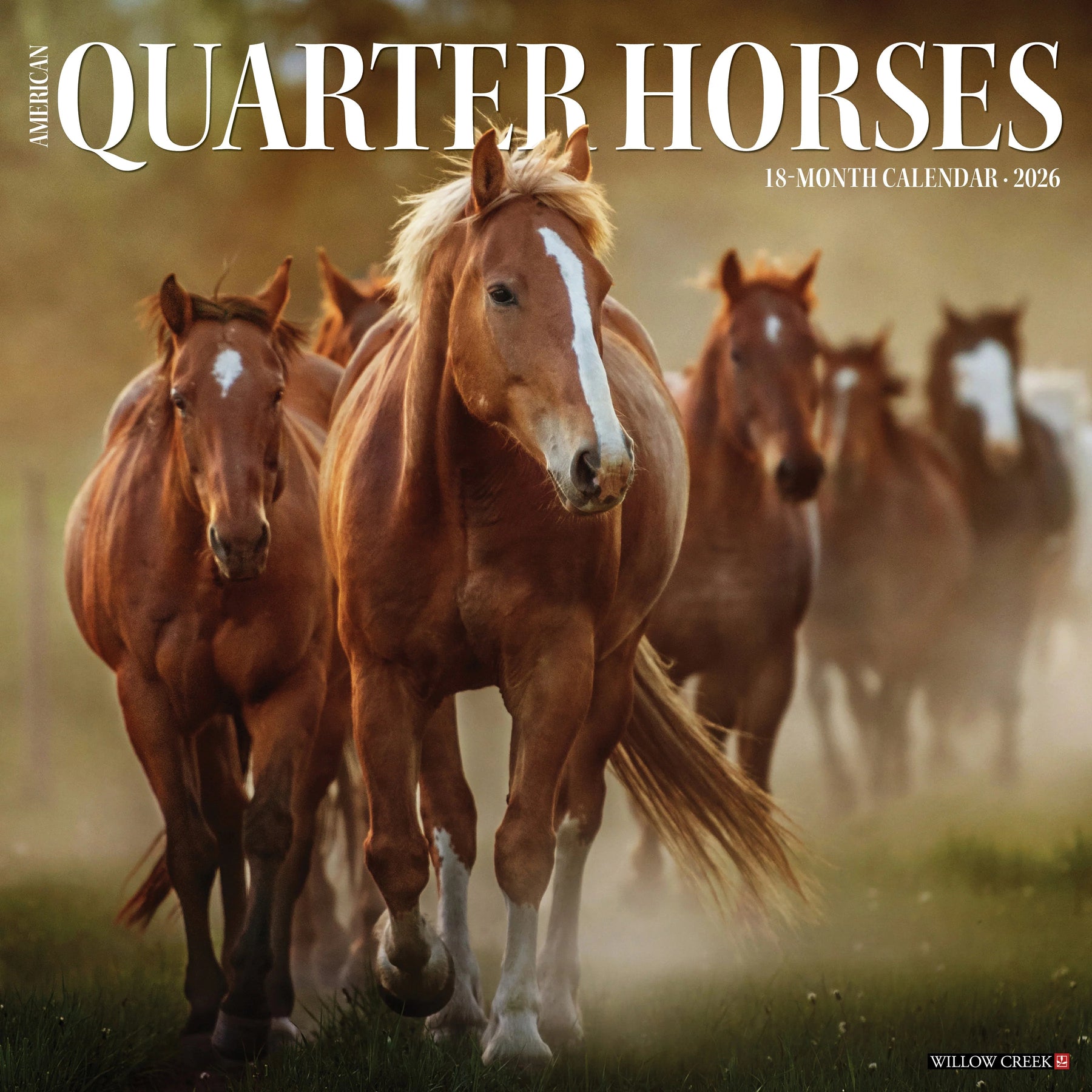 Willow Creek Press - 2026 American Quarter Horses Calendar