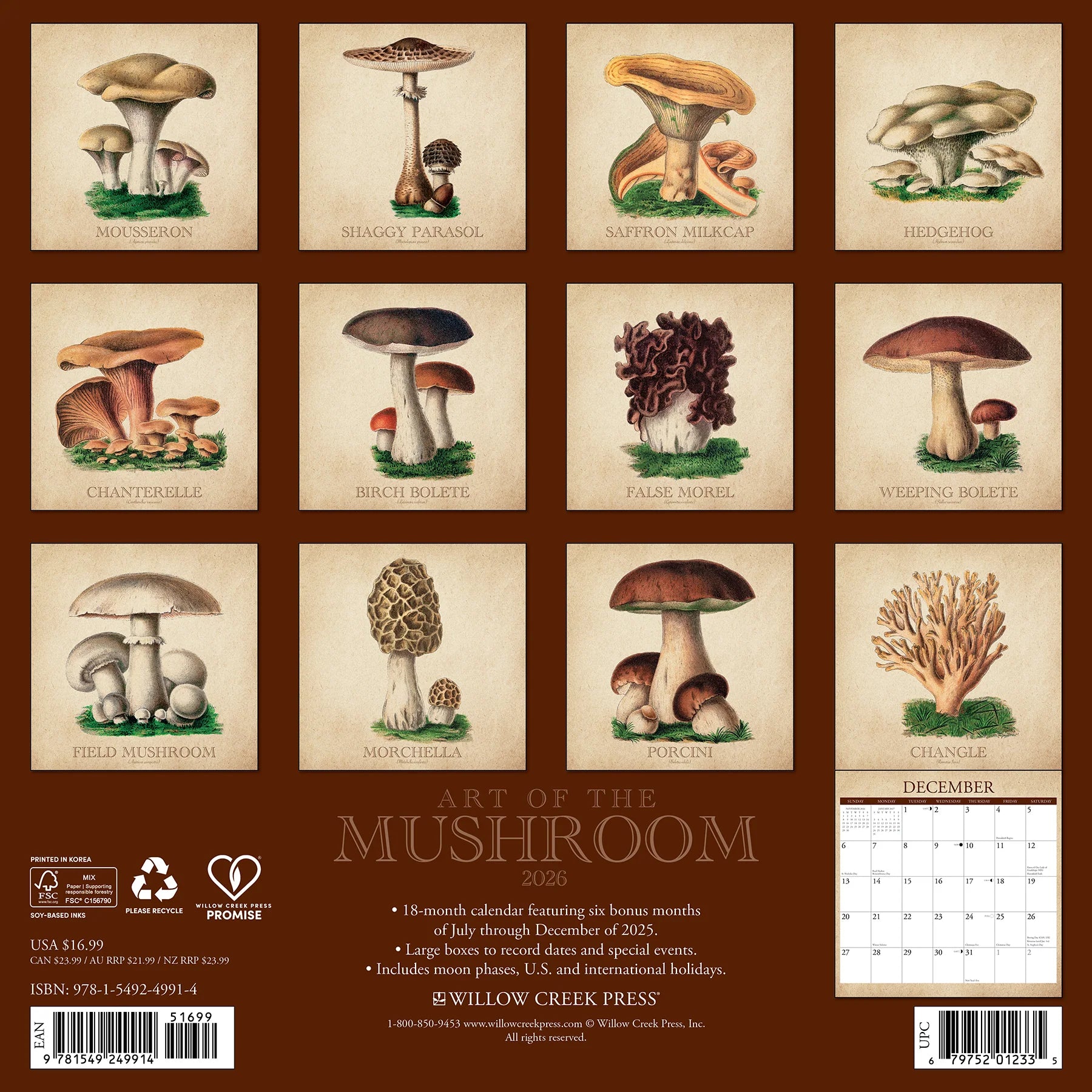 Willow Creek Press - 2026 Art Of The Mushroom Calendar