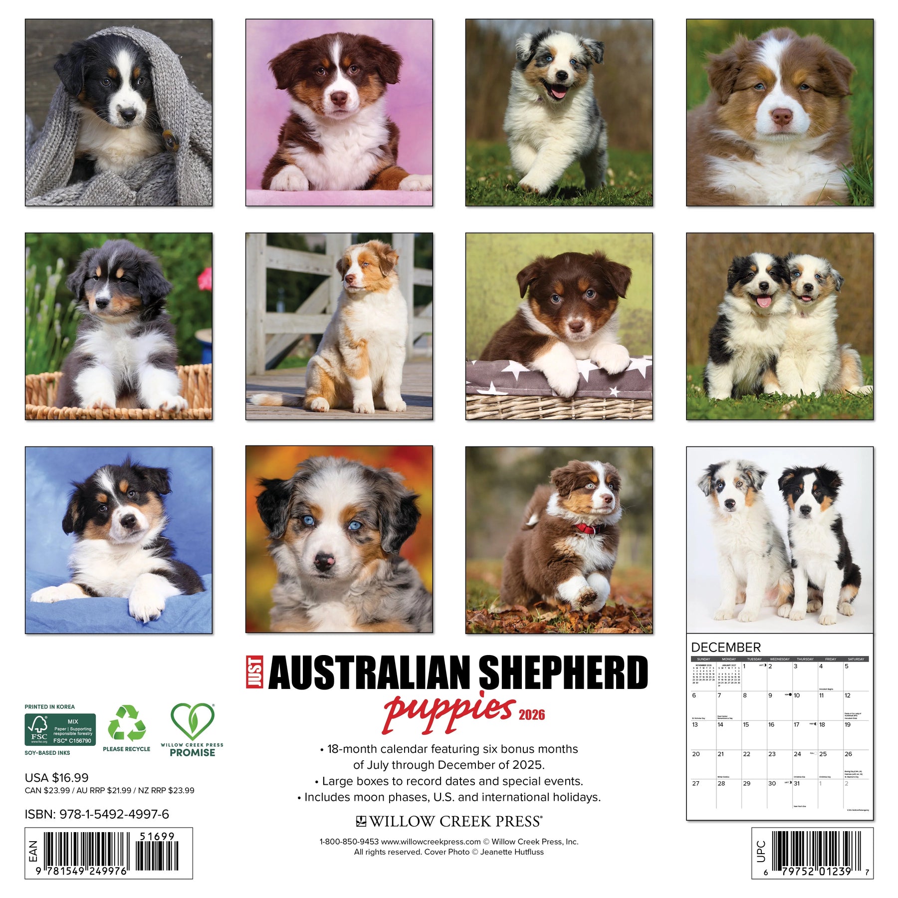Willow Creek Press - 2026 Australian Shepherd Pups Calendar