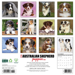 Willow Creek Press - 2026 Australian Shepherd Pups Calendar