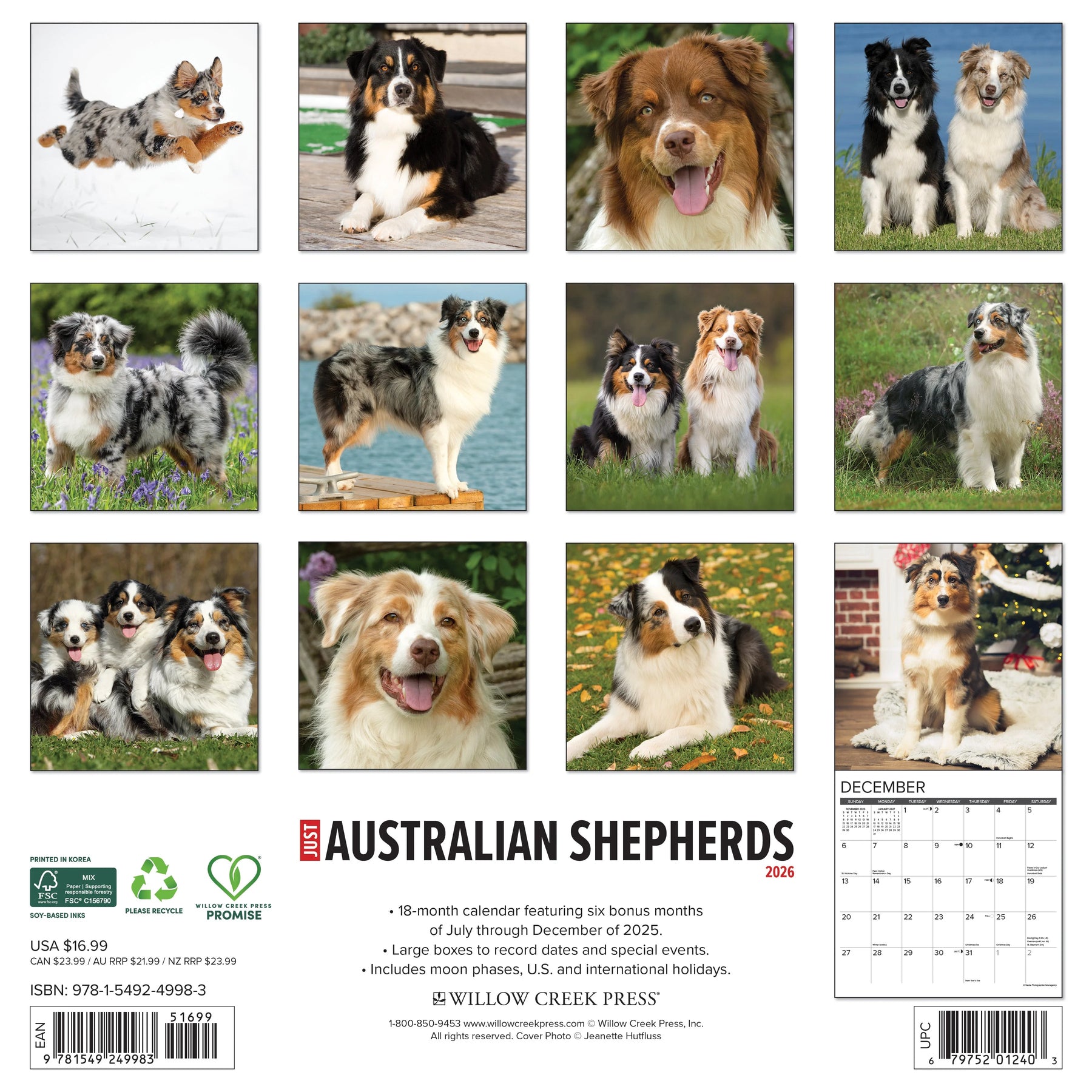 Willow Creek Press - 2026 Australian Shepherds Calendar