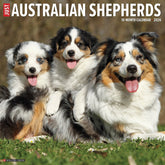 Willow Creek Press - 2026 Australian Shepherds Calendar