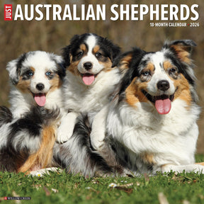 Willow Creek Press - 2026 Australian Shepherds Calendar