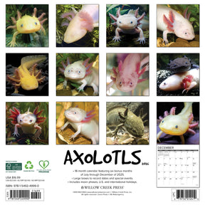 Willow Creek Press - 2026 Axolotls Calendar