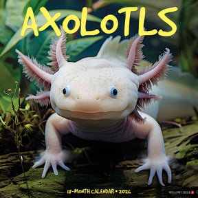 Willow Creek Press - 2026 Axolotls Calendar