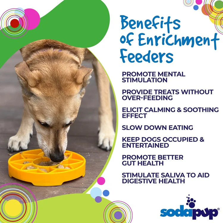 Enrichment Tray Slow Feeder - Sunflower Design