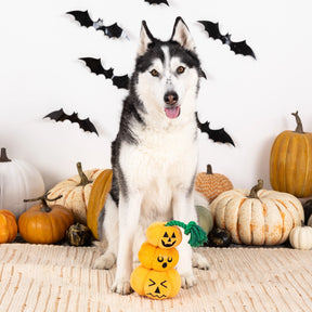 Petshop by Fringe Studio - Dog Toy Stack-O-Lantern