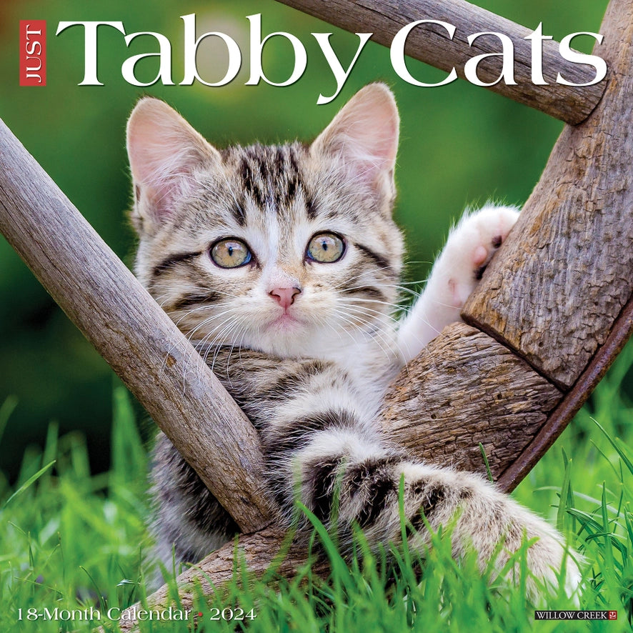 2024 Tabby Cats Calendar