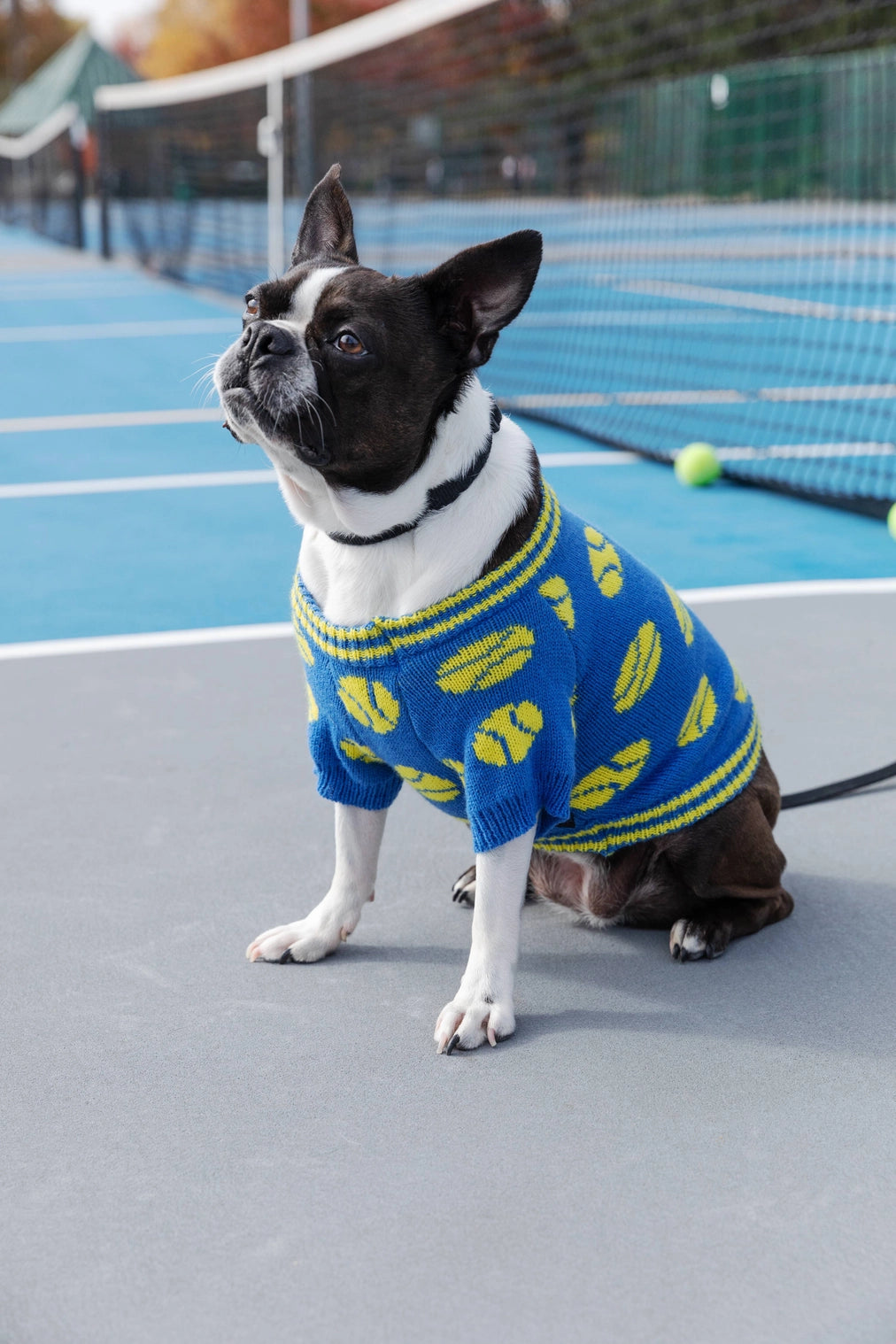 Dog Sweater Brass Monkey Tennis Balls