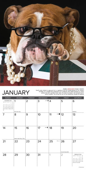 2024 Bulldog Bad Boys Calendar