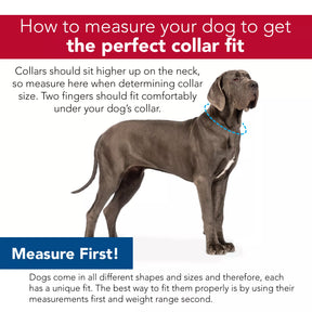 Coastal - Nylon Collar Adjustable 1 1/2"