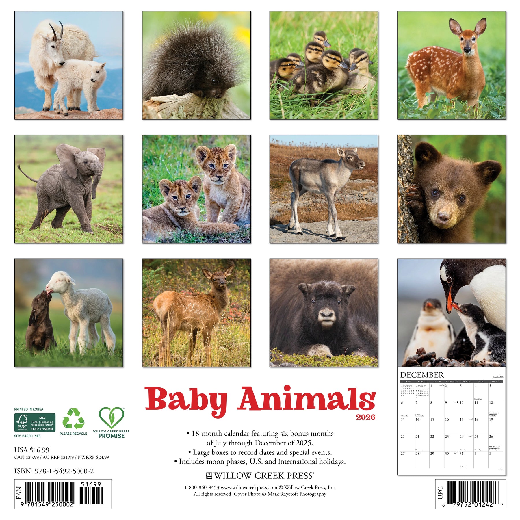 Willow Creek Press - 2026 Baby Animals Calendar