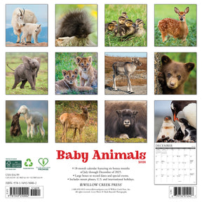 Willow Creek Press - 2026 Baby Animals Calendar