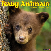 Willow Creek Press - 2026 Baby Animals Calendar