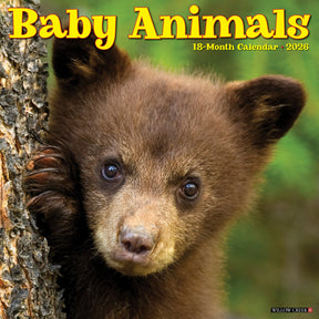 Willow Creek Press - 2026 Baby Animals Calendar