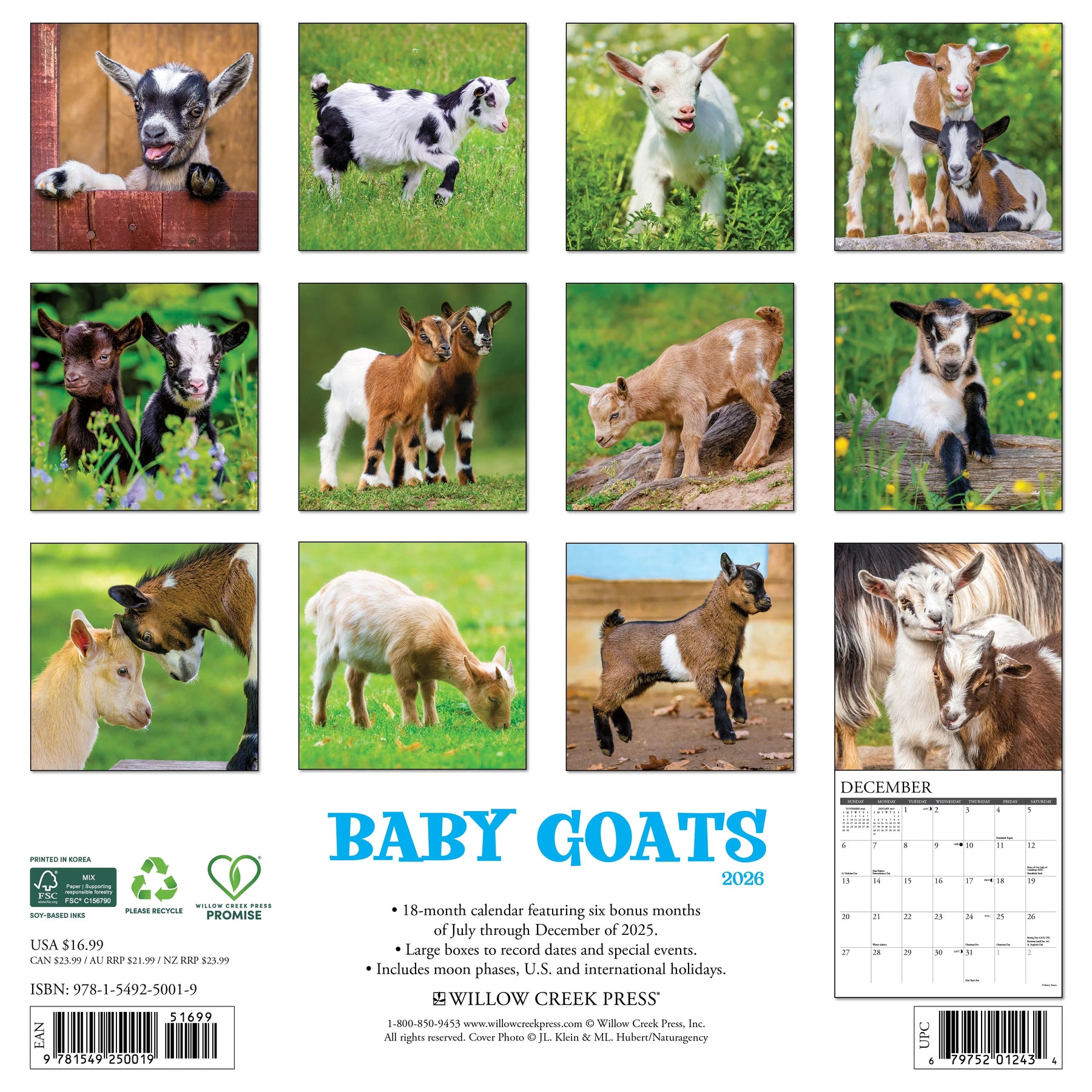 Willow Creek Press - 2026 Baby Goats Calendar