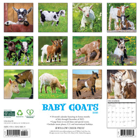 Willow Creek Press - 2026 Baby Goats Calendar