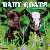 Willow Creek Press - 2026 Baby Goats Calendar