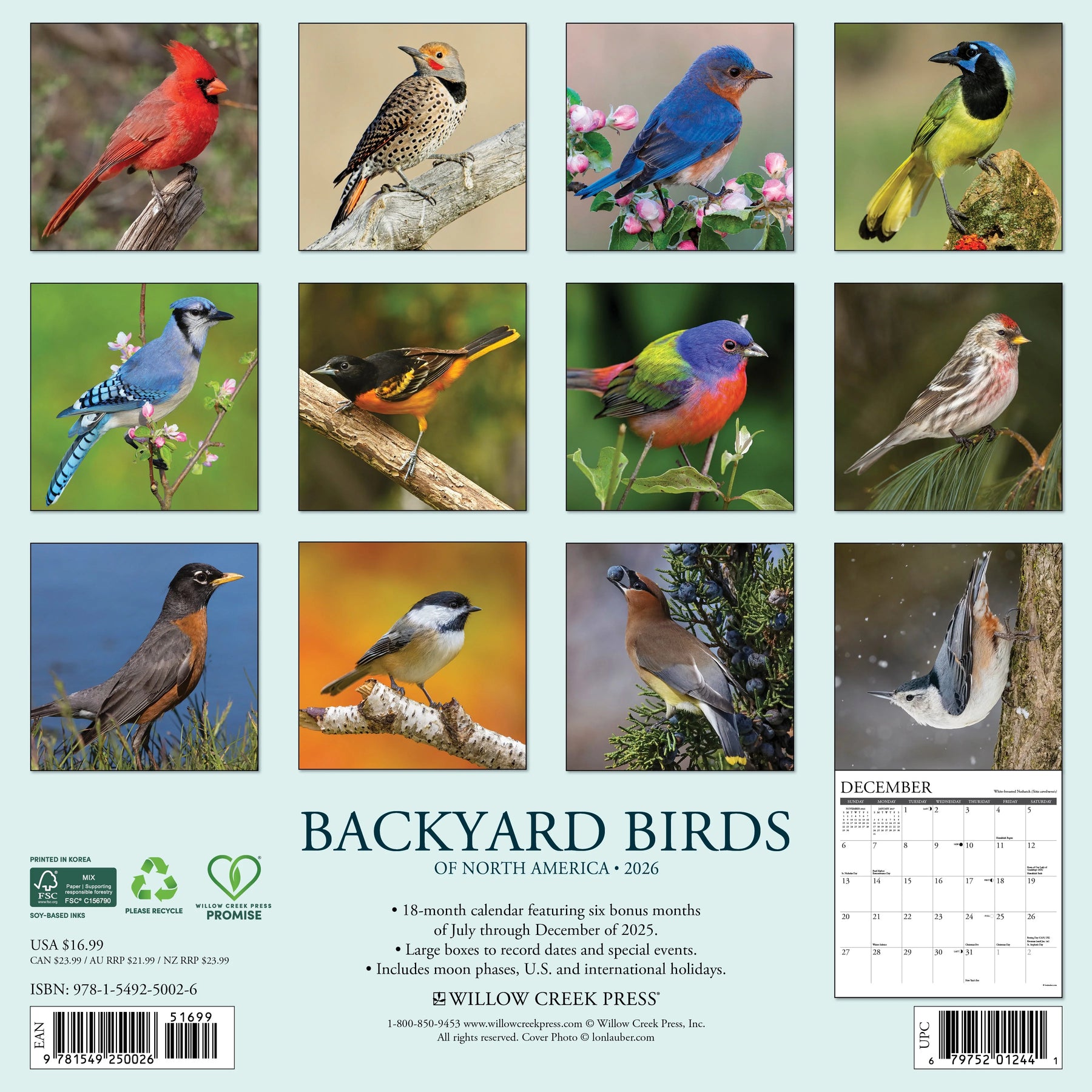 Willow Creek Press - 2026 Backyard Birds Of North America Calendar