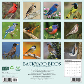 Willow Creek Press - 2026 Backyard Birds Of North America Calendar