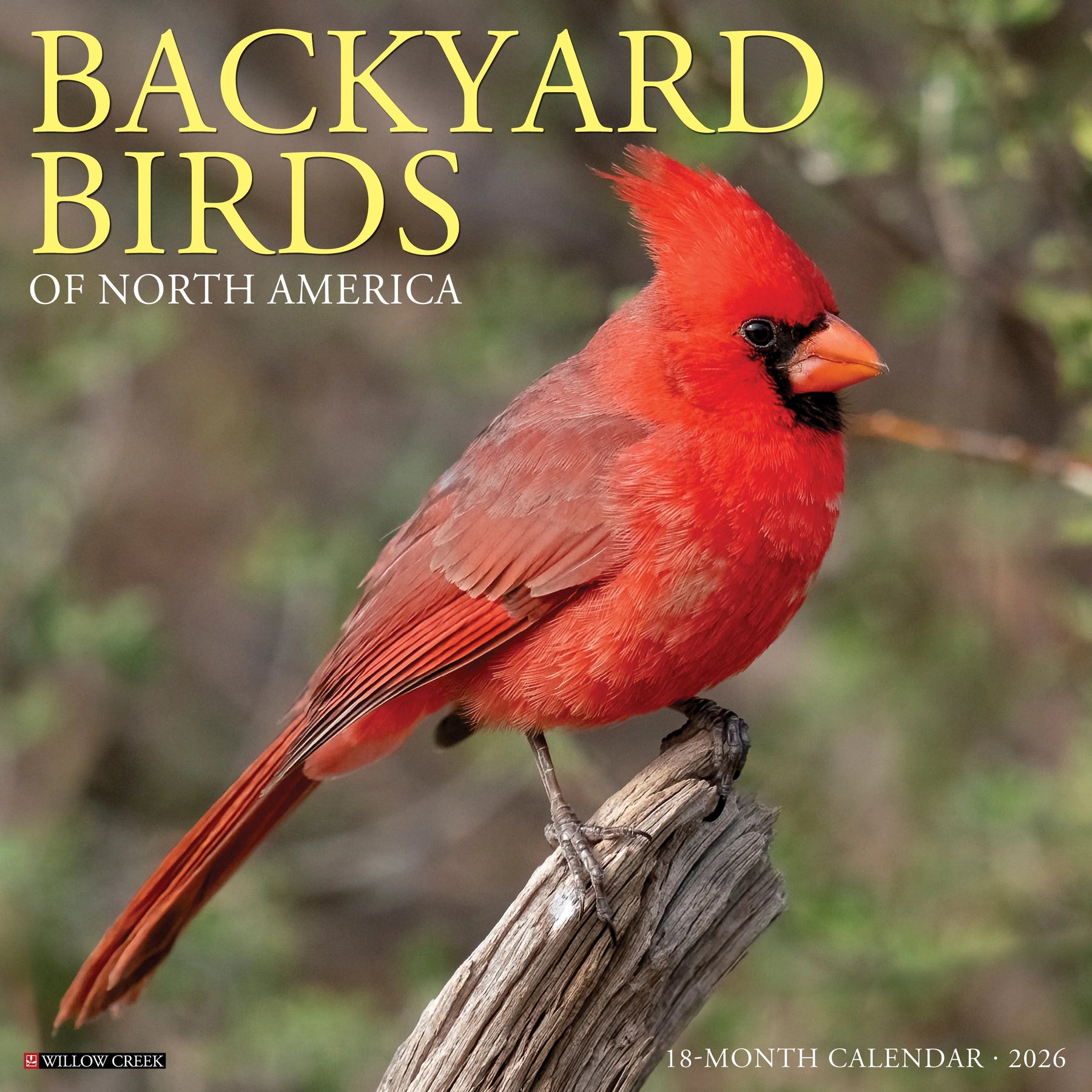 Willow Creek Press - 2026 Backyard Birds Of North America Calendar