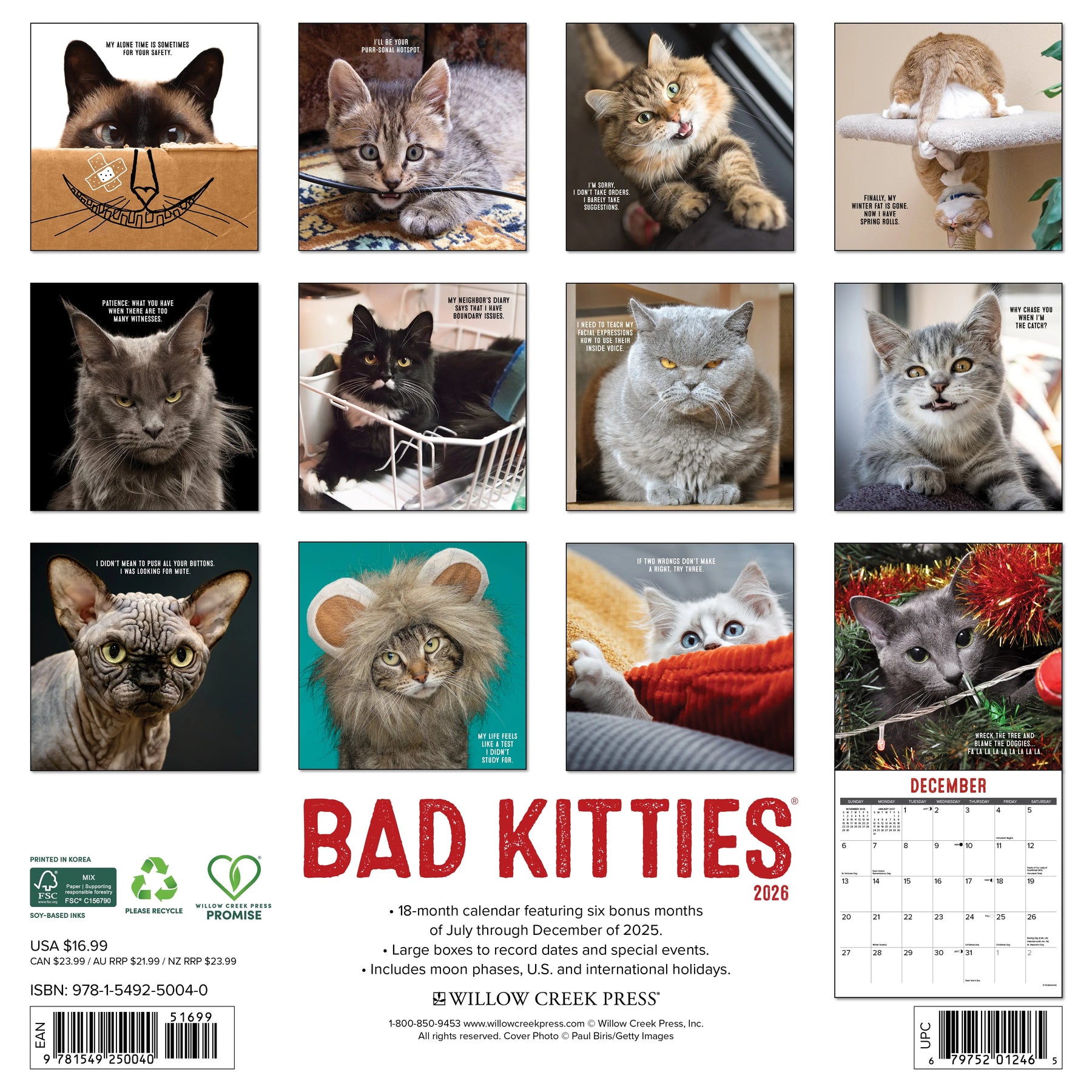 Willow Creek Press - 2026 Bad Kitties Calendar