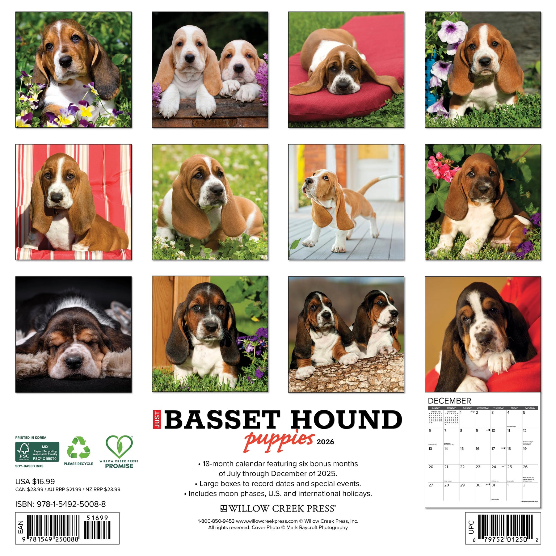 Willow Creek Press - 2026 Bassett Hound Puppies Calendar