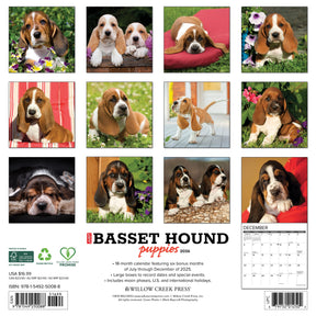 Willow Creek Press - 2026 Bassett Hound Puppies Calendar