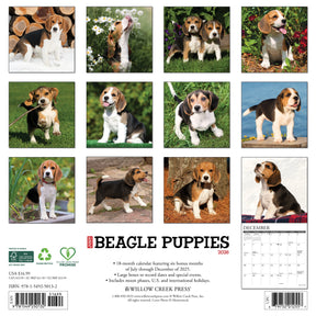 Willow Creek Press - 2026 Beagle Puppies Calendar