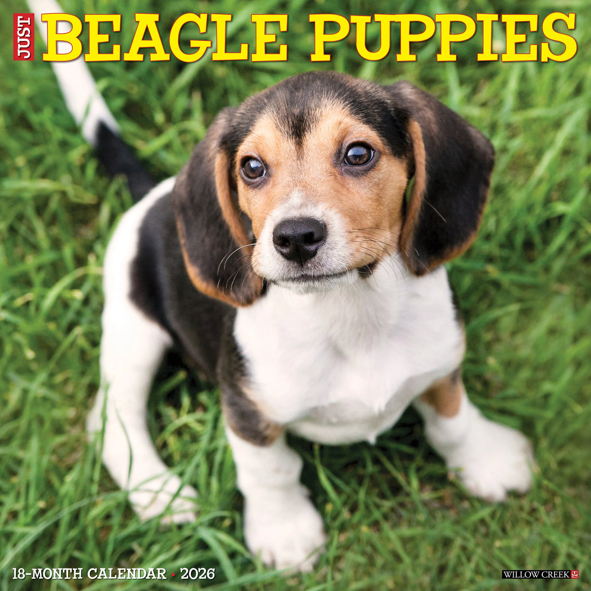 Willow Creek Press - 2026 Beagle Puppies Calendar