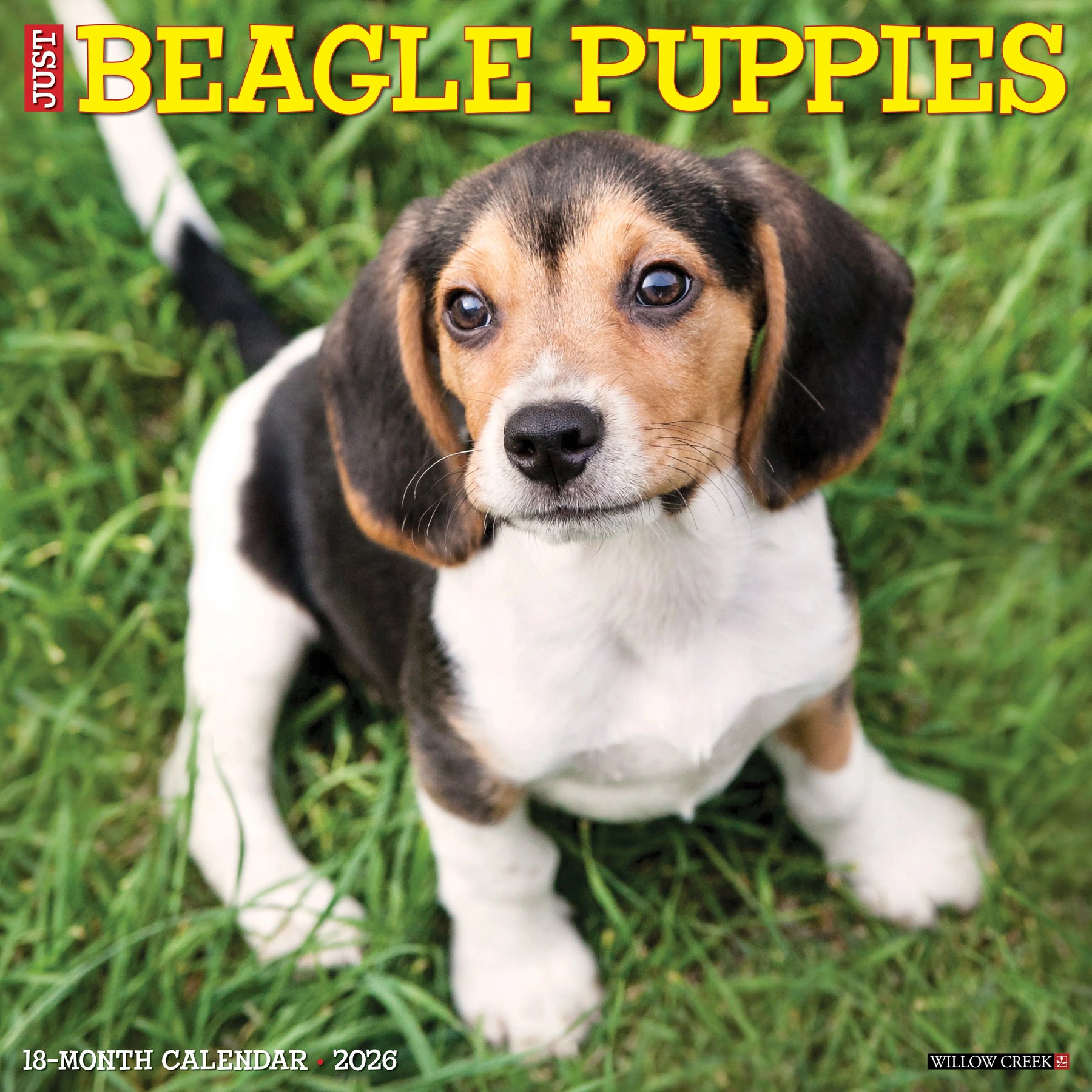 Willow Creek Press - 2026 Beagle Puppies Calendar