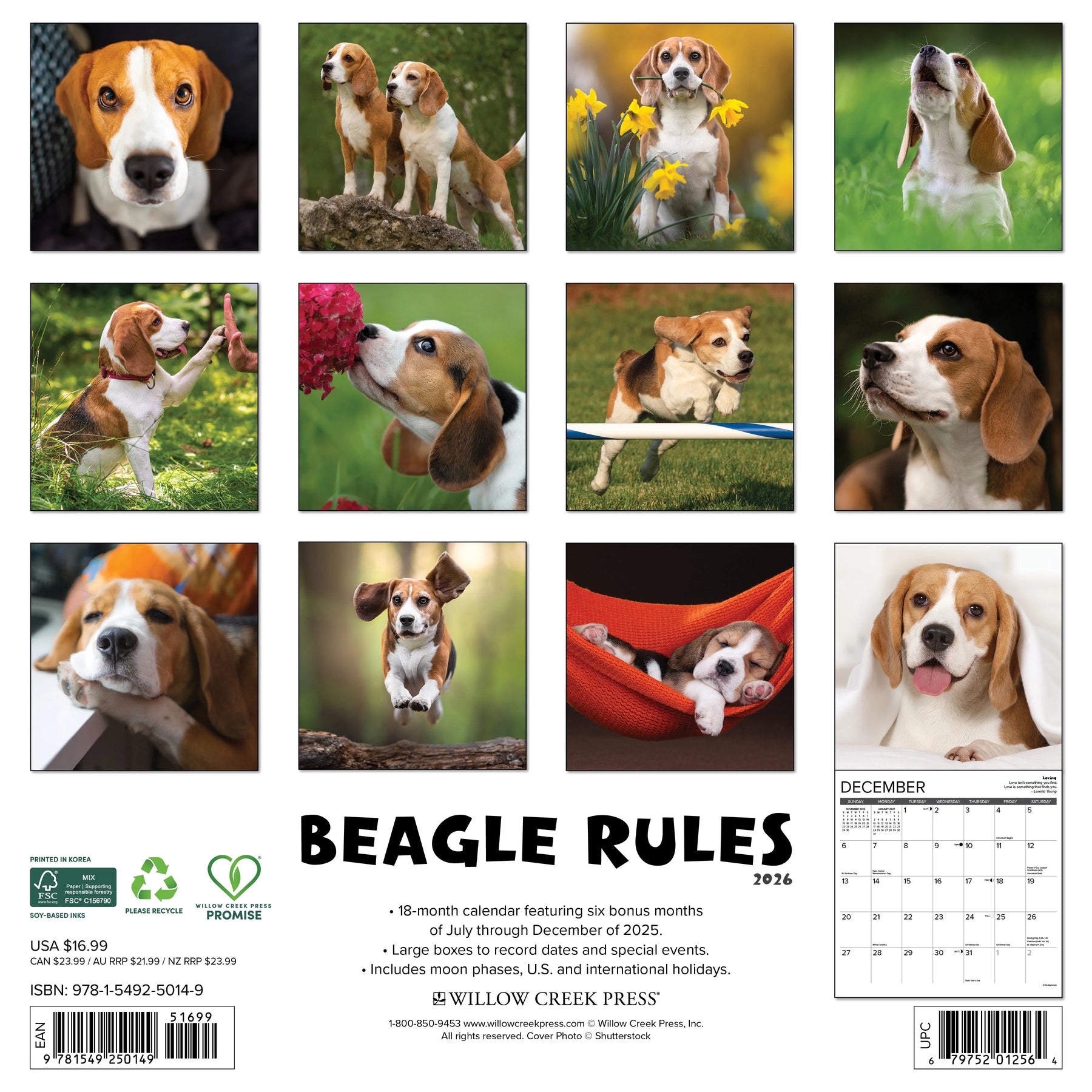 Willow Creek Press - 2026 Beagle Rules Calendar