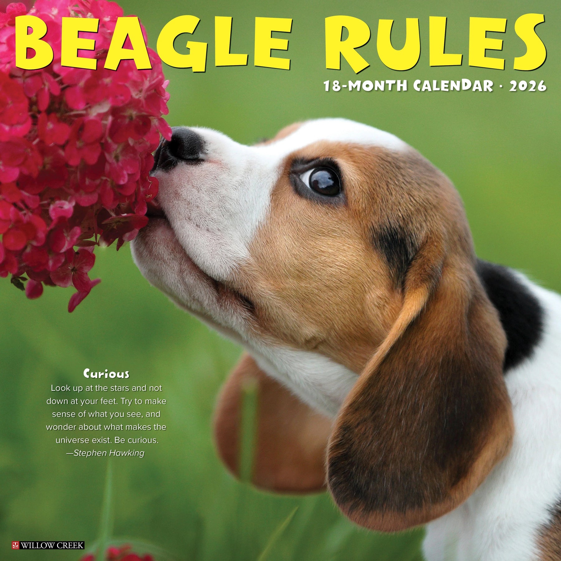 Willow Creek Press - 2026 Beagle Rules Calendar
