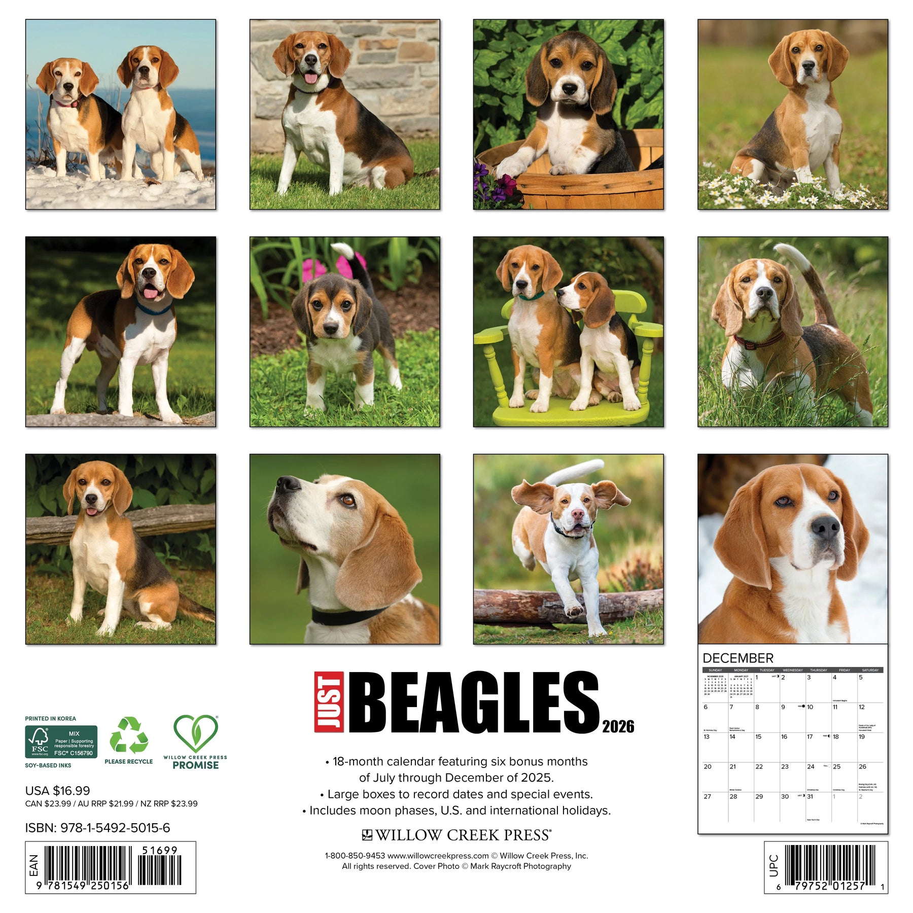 Willow Creek Press - 2026 Beagles Calendar