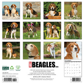 Willow Creek Press - 2026 Beagles Calendar