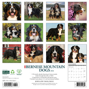 Willow Creek Press - 2026 Bernese Mountain Dogs Calendar
