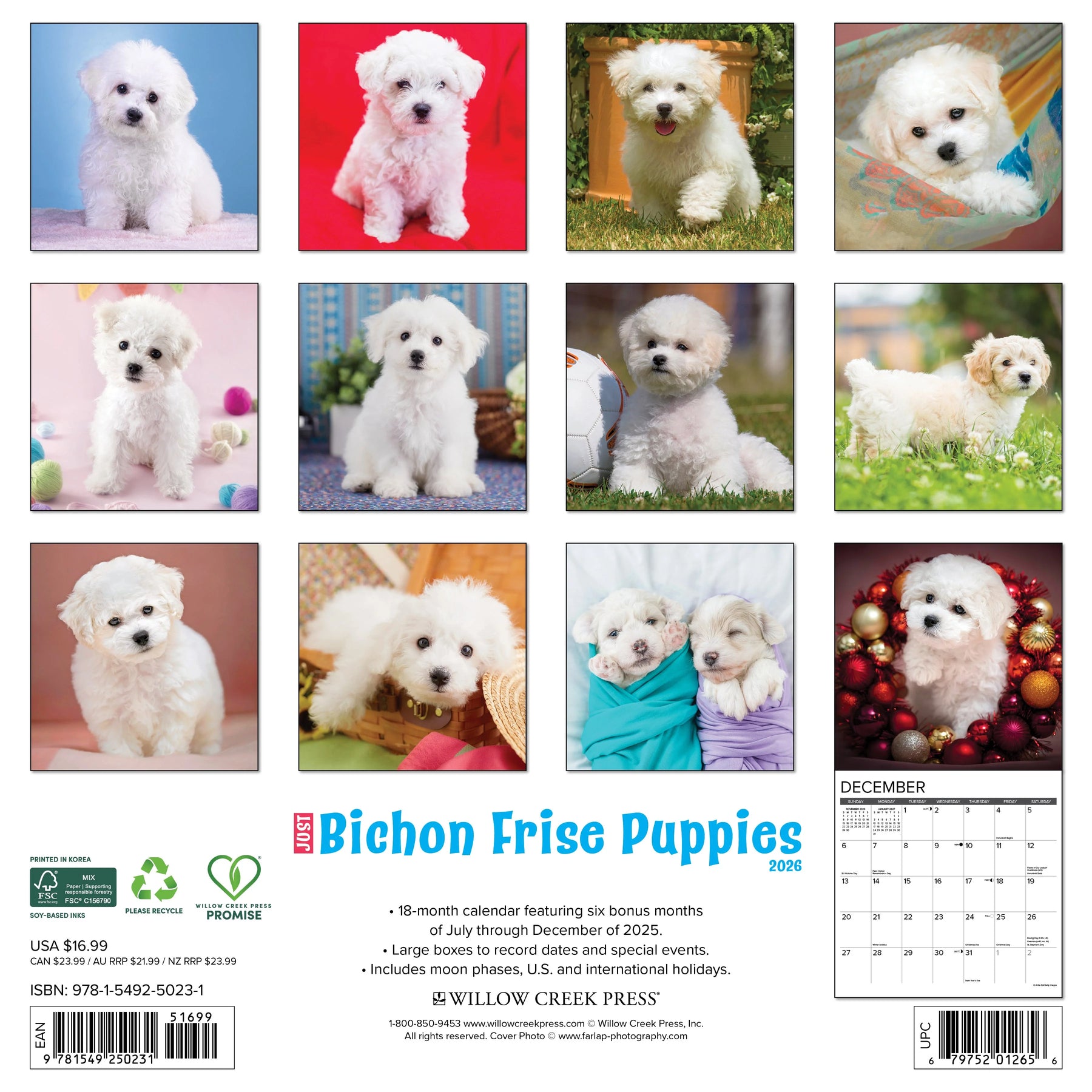 Willow Creek Press - 2026 Bichon Frise Puppies Calendar