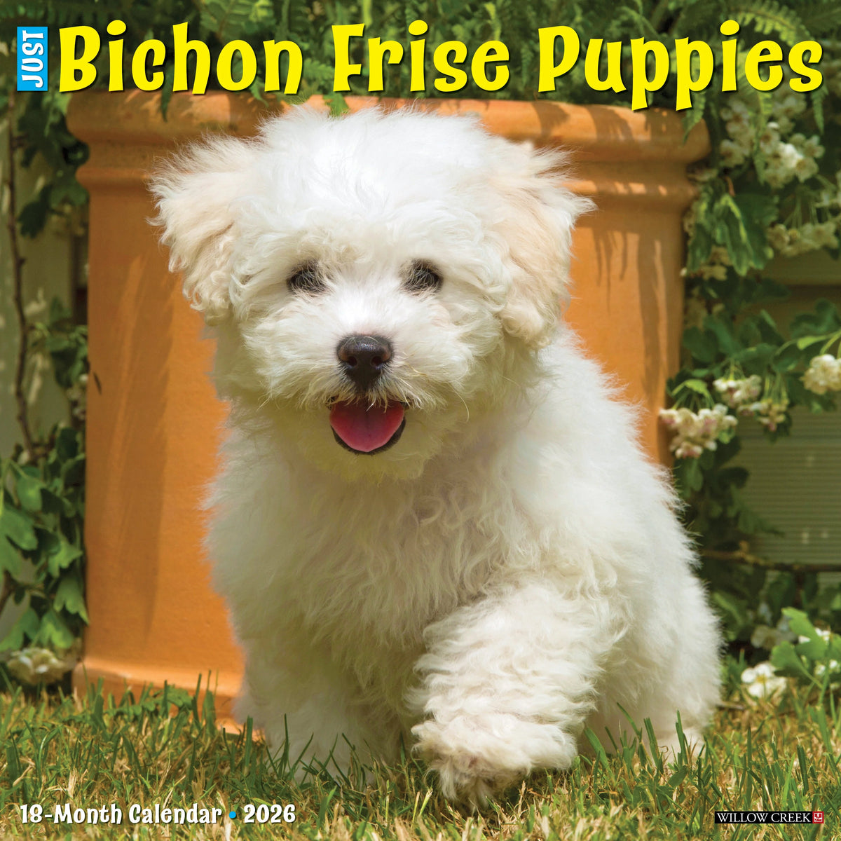 Willow Creek Press - 2026 Bichon Frise Puppies Calendar