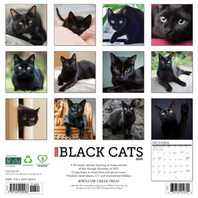 Willow Creek Press - 2026 Black Cats Calendar