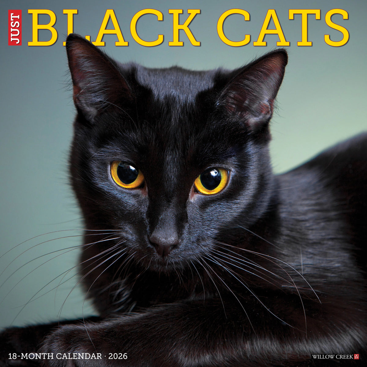 Willow Creek Press - 2026 Black Cats Calendar
