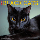 Willow Creek Press - 2026 Black Cats Calendar