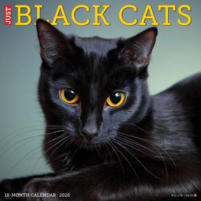 Willow Creek Press - 2026 Black Cats Calendar