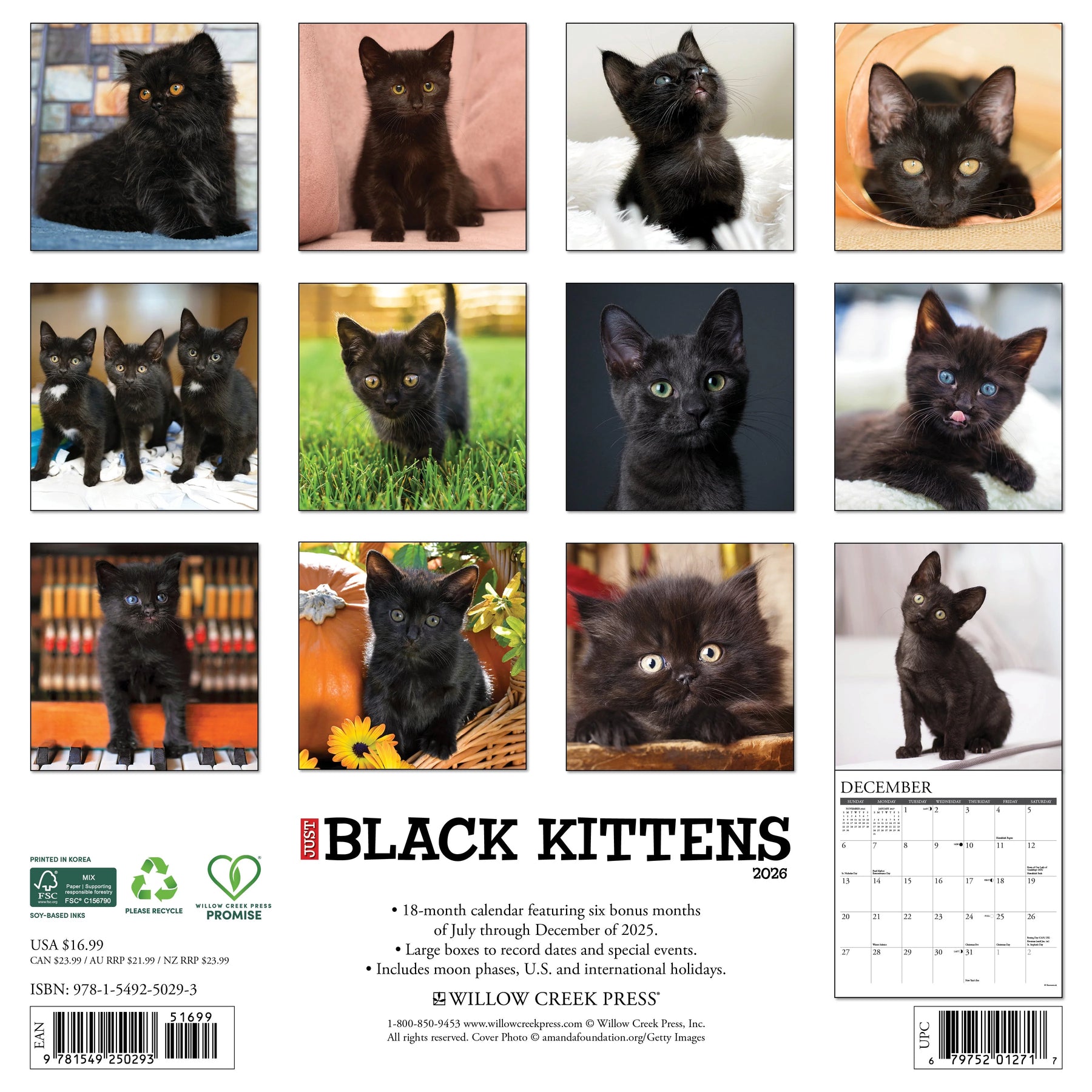 Willow Creek Press - 2026 Black Kittens Calendar