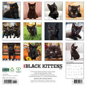 Willow Creek Press - 2026 Black Kittens Calendar
