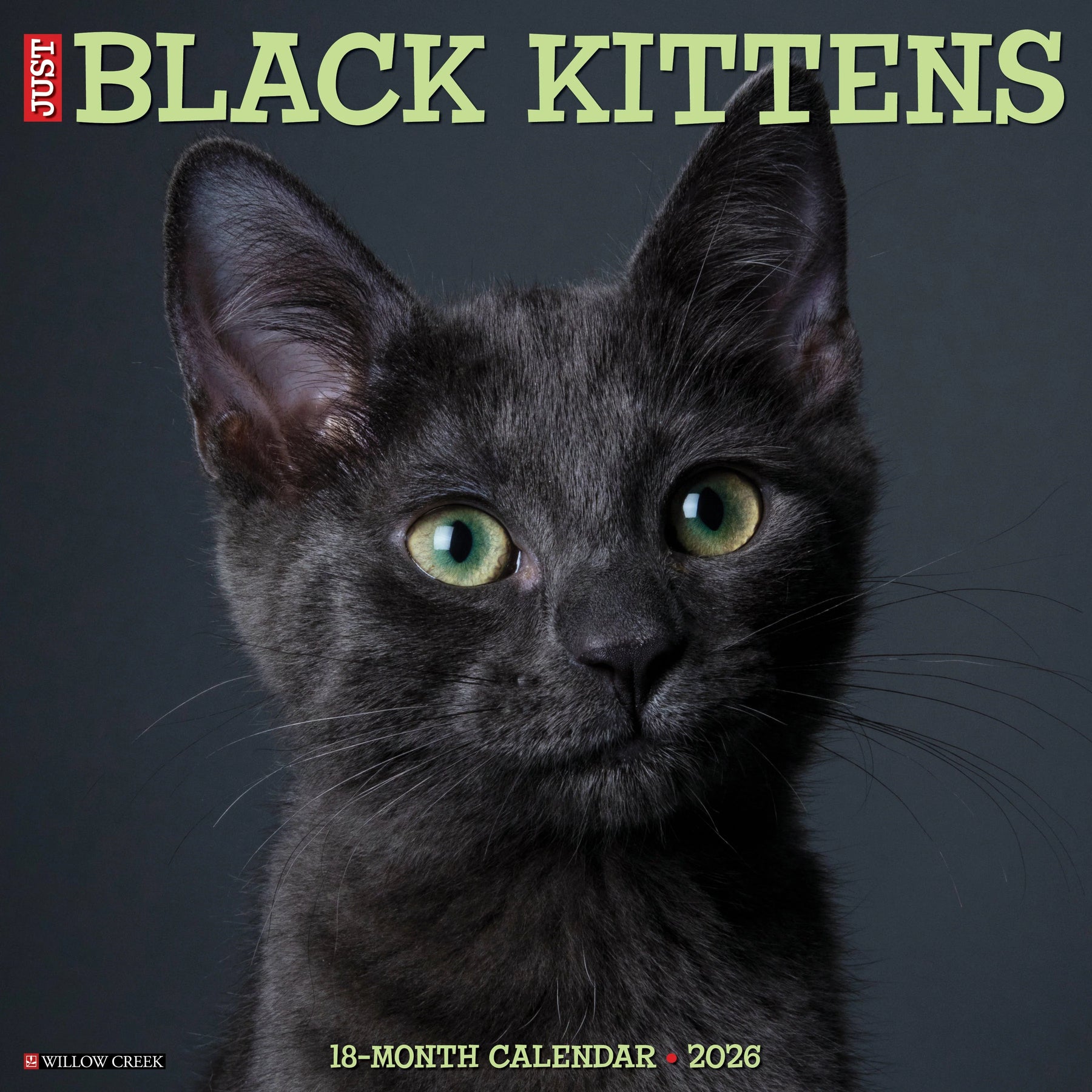 Willow Creek Press - 2026 Black Kittens Calendar