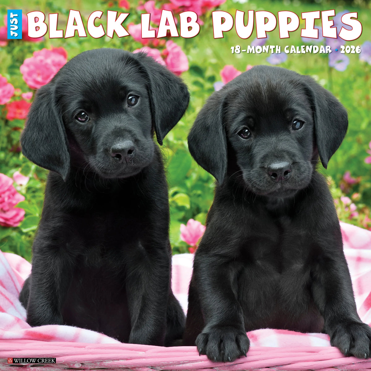 Willow Creek Press - 2026 Black Lab Puppies Calendar