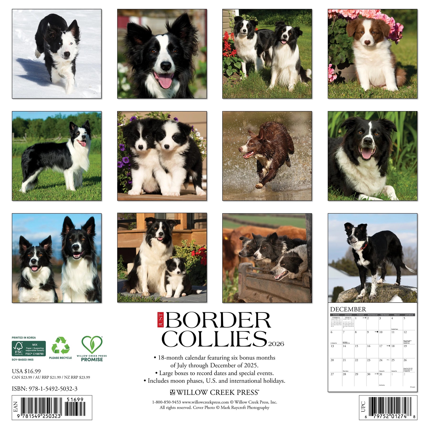 Willow Creek Press - 2026 Border Collies Calendar